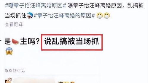 刘大锤今日爆料最新消息,今日热点事件最新进展揭秘  第1张